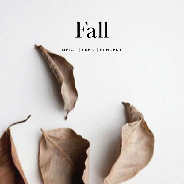 “Honoring Fall: A TCM APPROACH” Free E-Book