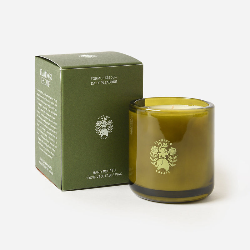 Agrigento Olive Tree Candle