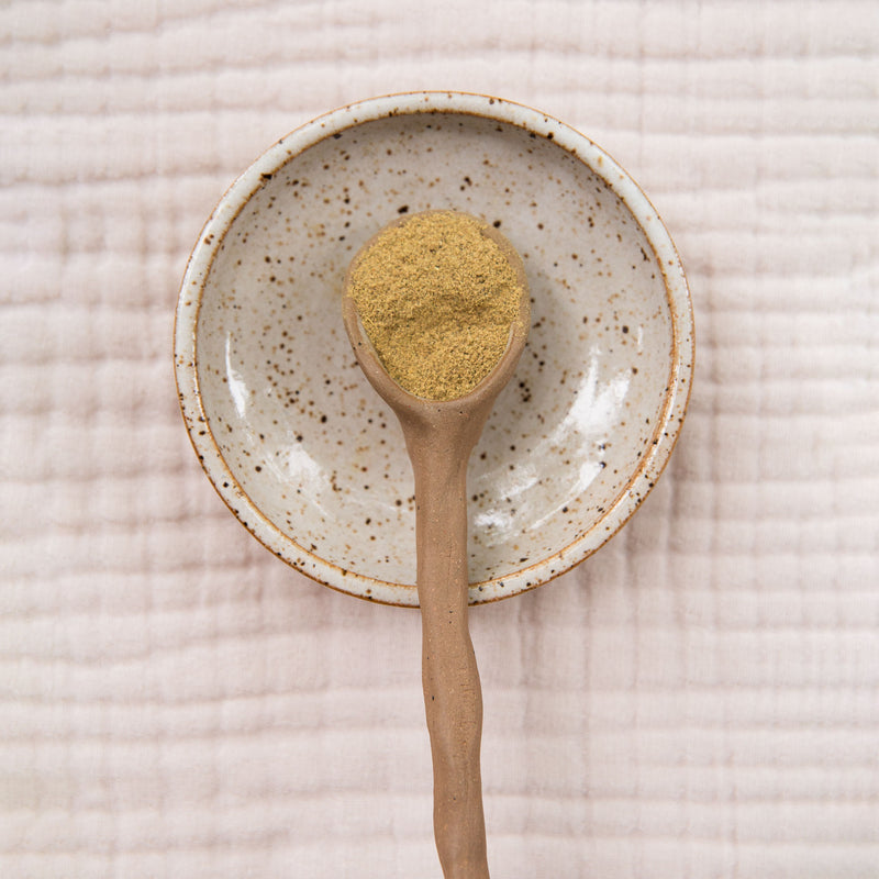 Rejuvenate Digestion Ayurvedic Infusion