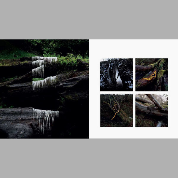 Andy Goldsworthy Fifty Years