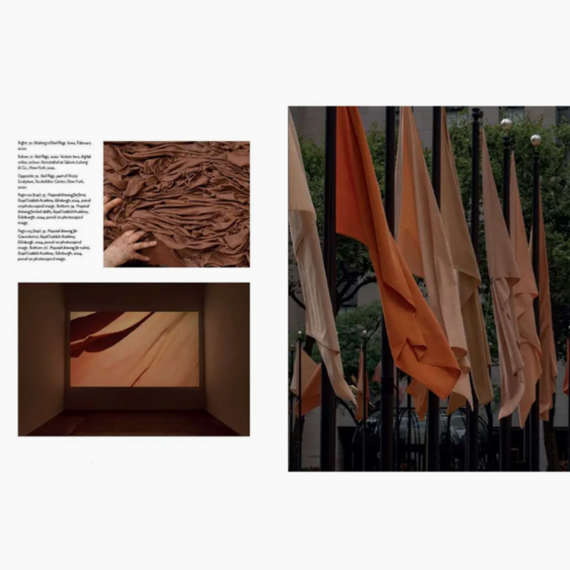 Andy Goldsworthy Fifty Years