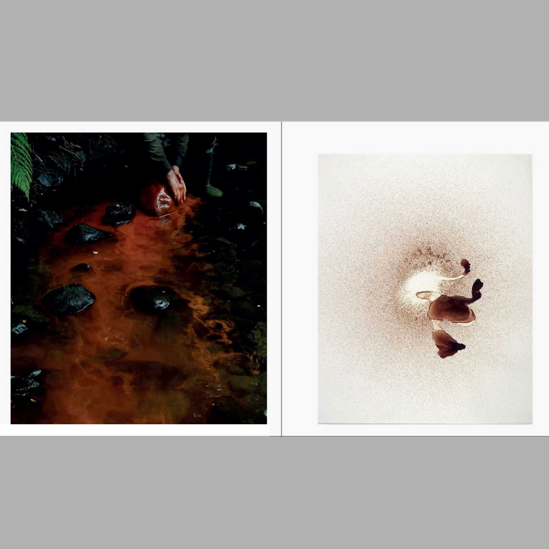 Andy Goldsworthy Fifty Years