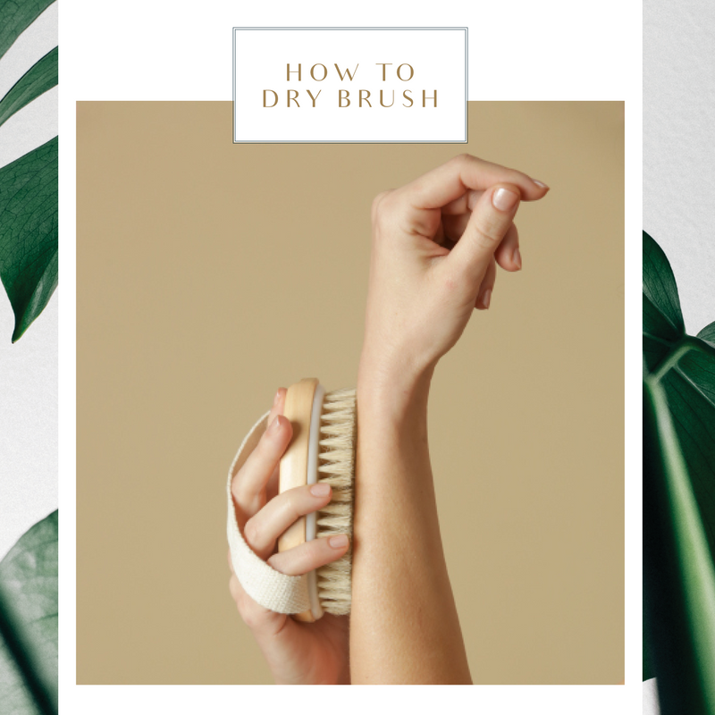 "How to Dry Brush" Free E-Book