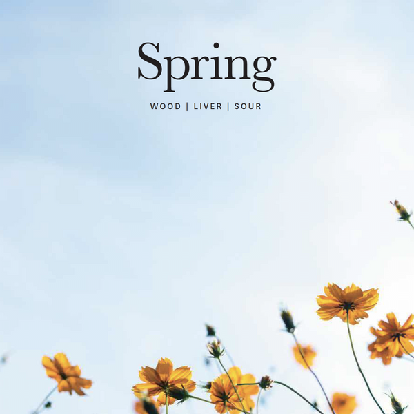 “Honoring Spring: A TCM APPROACH” Free E-Book